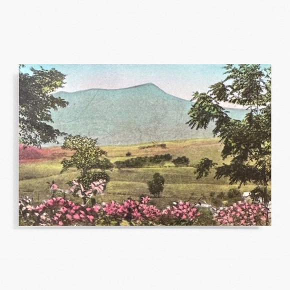 Massanutten Springs Station Harrisonburg Virginia Postcard - Picture 5 of 14